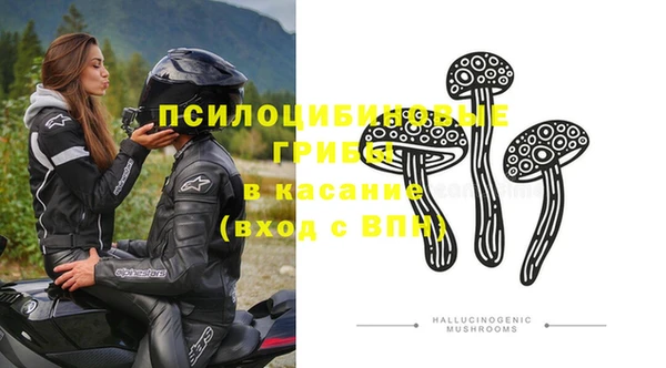 прущая мука Снежногорск