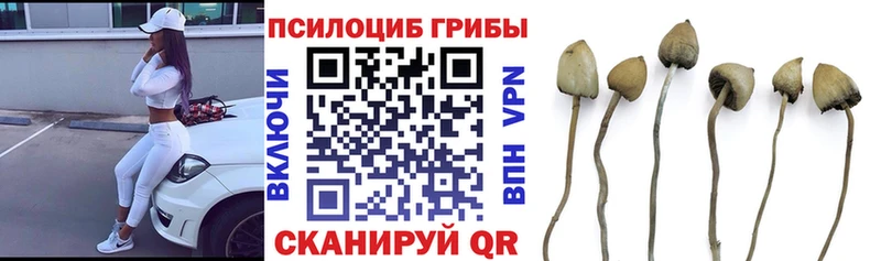 Галлюциногенные грибы мицелий  Славгород 