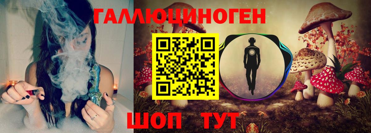 Славгород  купить наркотики сайты  Вход с VPN  Псилоцибиновые грибы мухоморы 