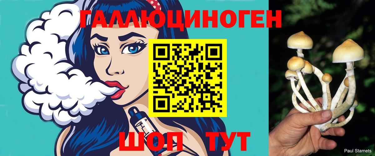 Галлюциногенные грибы мухоморы Славгород